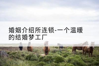 婚姻介绍所连锁--一个温暖的结婚梦工厂
