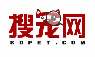 看准网
