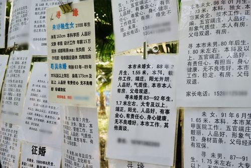 相亲十年,我还单身