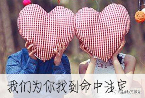 交了3000新元给坡岛婚介所,结果给介绍了个已婚男