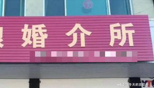 七旬教授寻伴记 婚介所的劝退与情感世界的余晖