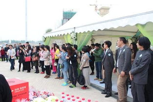 消费观念、社交需求与时代印记 为何部分年轻人倾向购车与婚姻介绍所